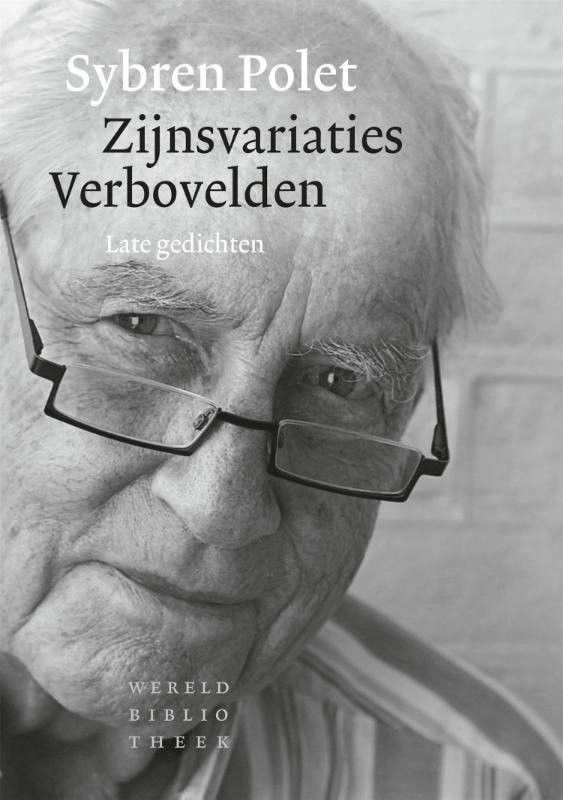 Omslag van Zijnsvariaties. Verbovelden