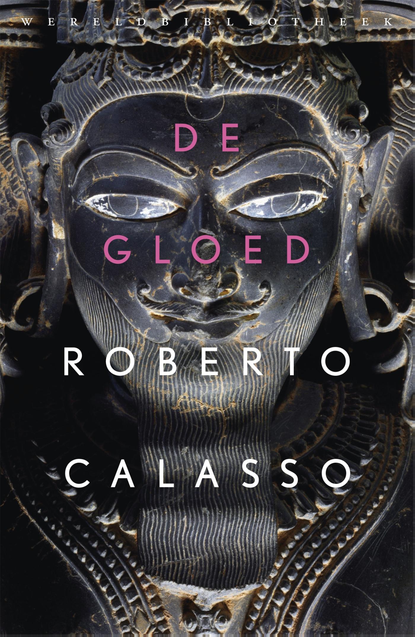Omslag van De gloed