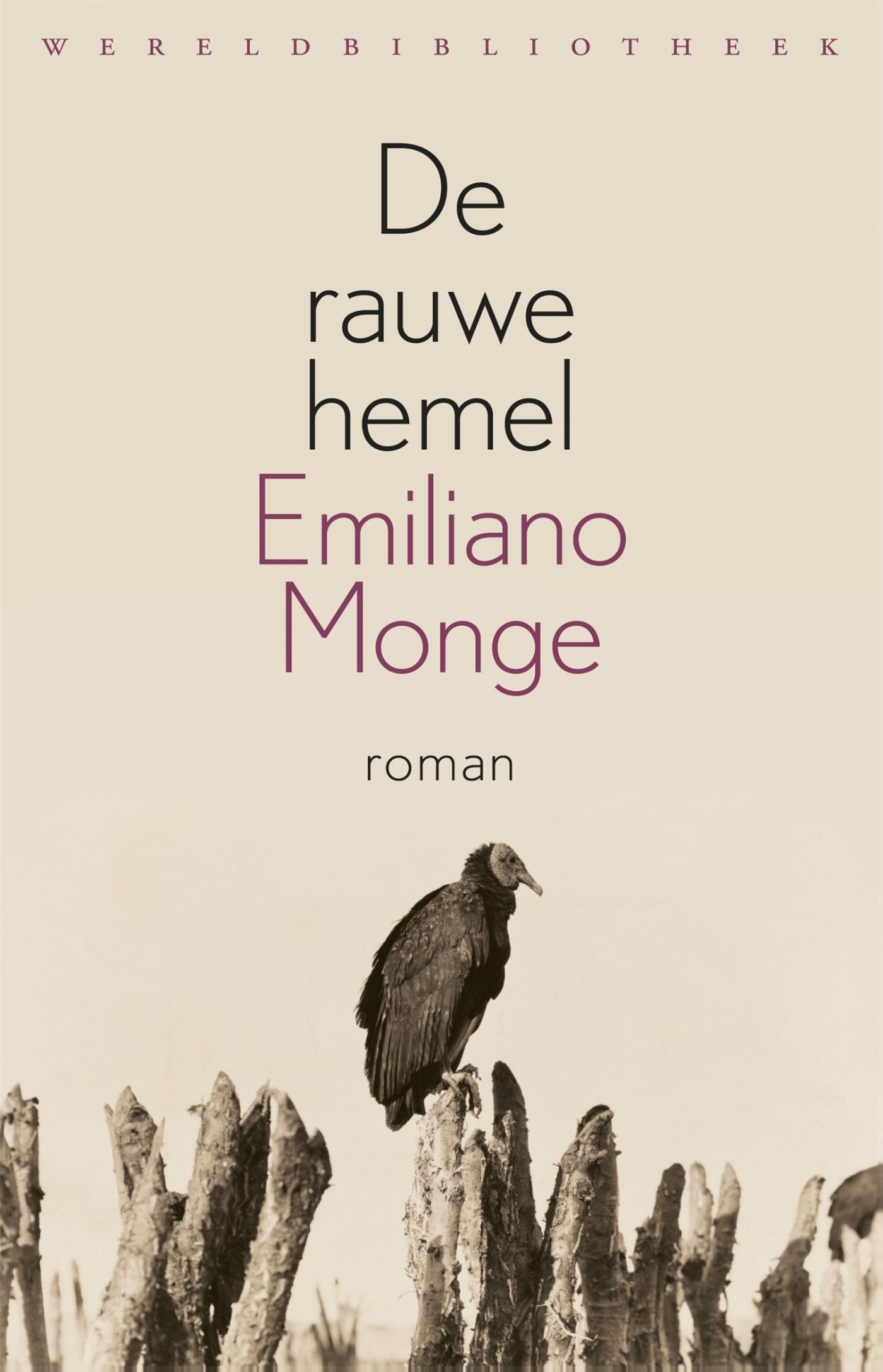 Omslag van De rauwe hemel
