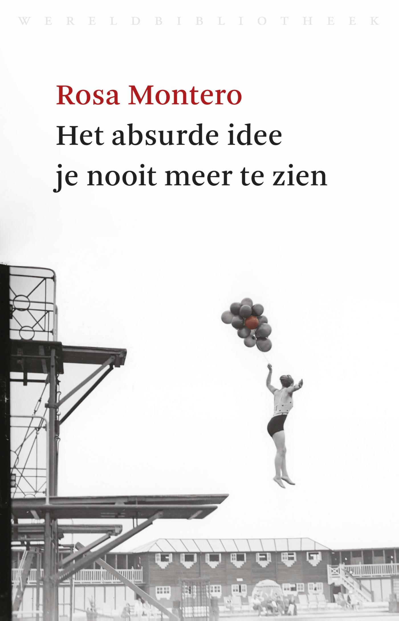 Omslag van Het absurde idee je nooit meer te zien