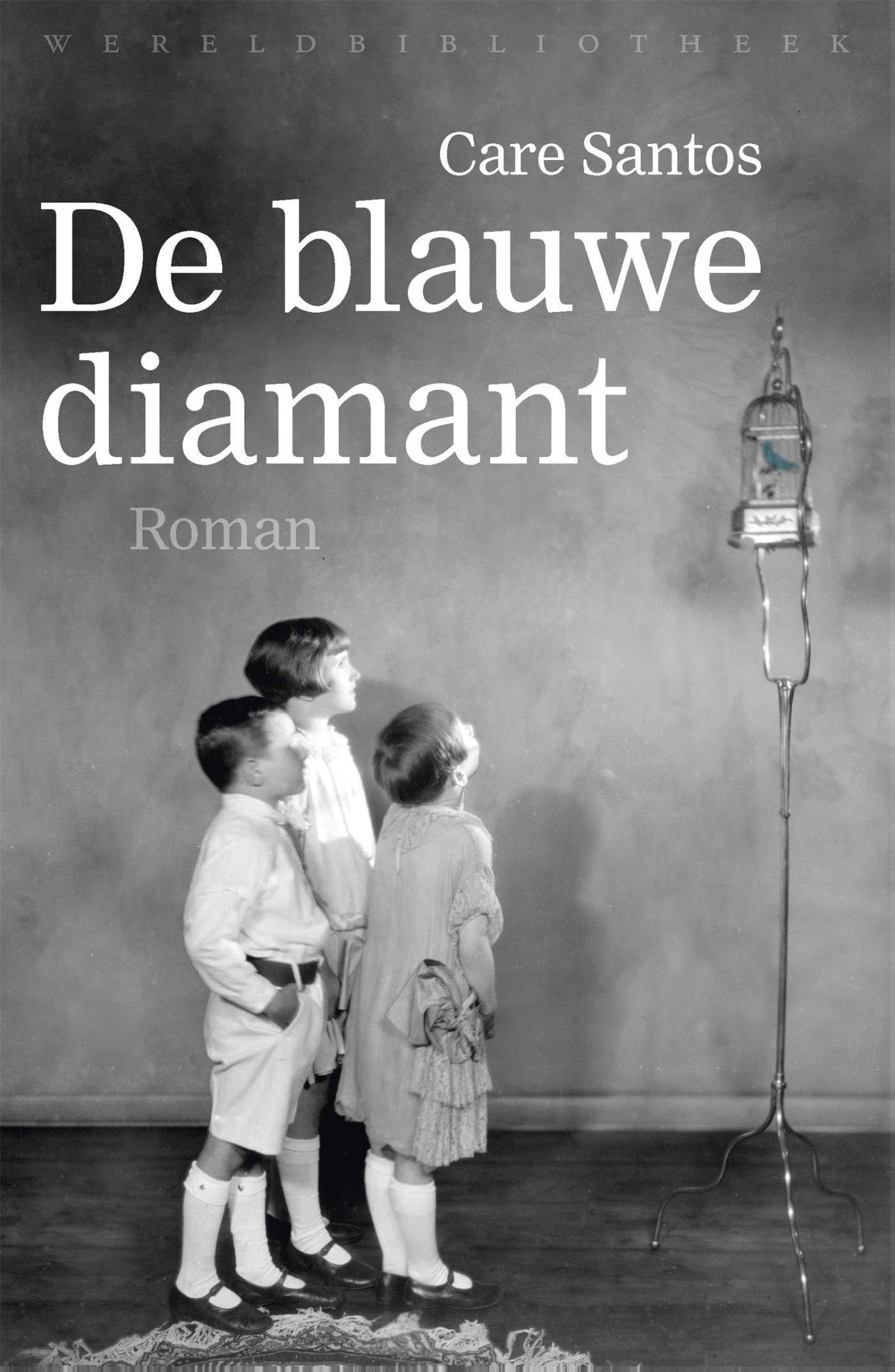 Omslag van De blauwe diamant