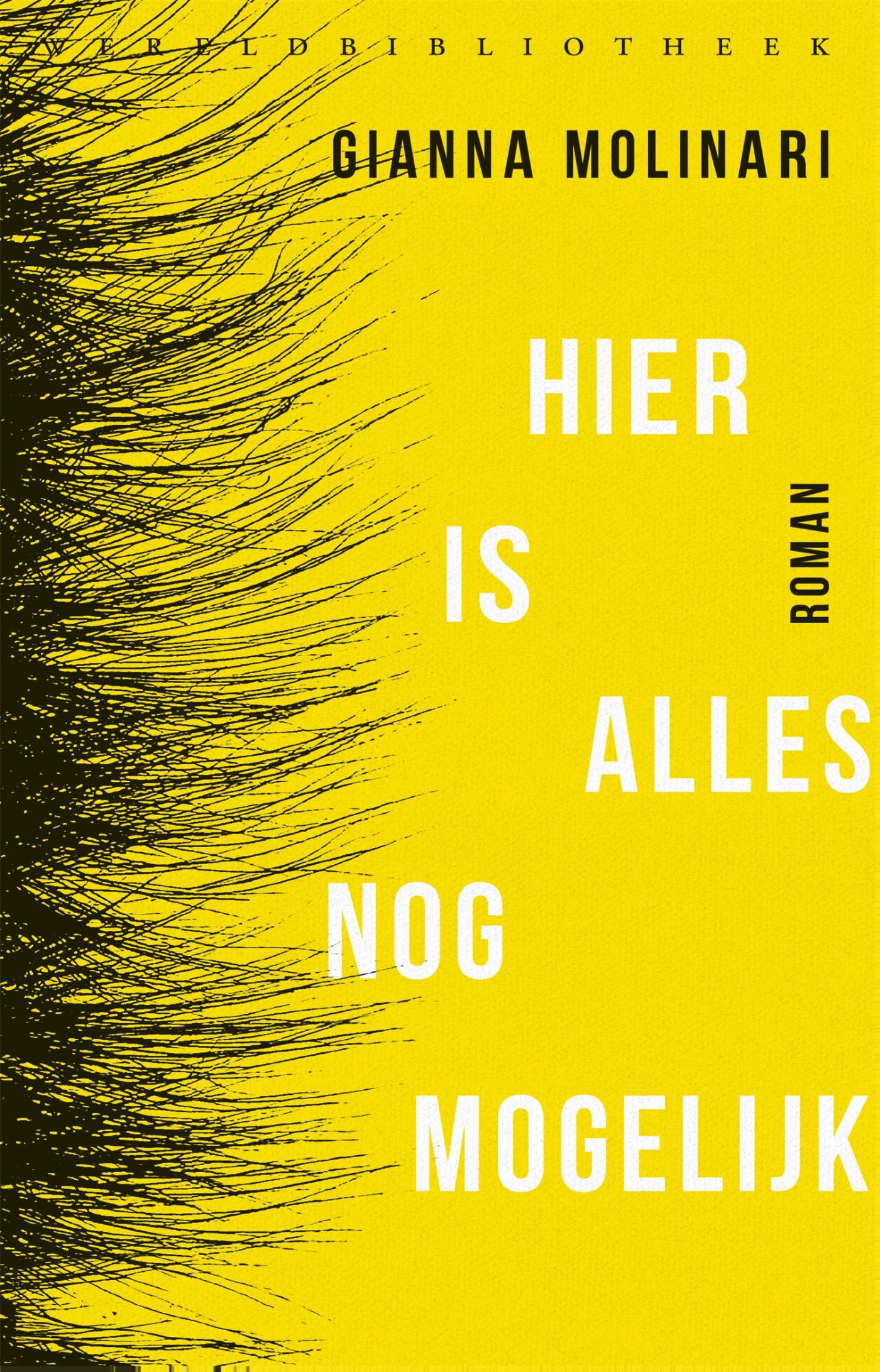 Omslag van Hier is alles nog mogelijk