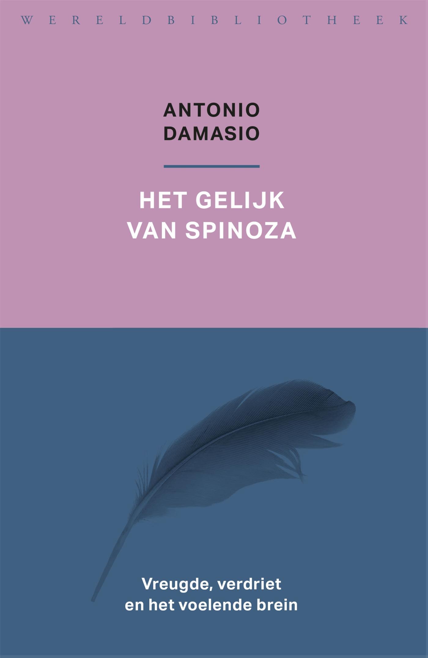 Omslag van Het gelijk van Spinoza