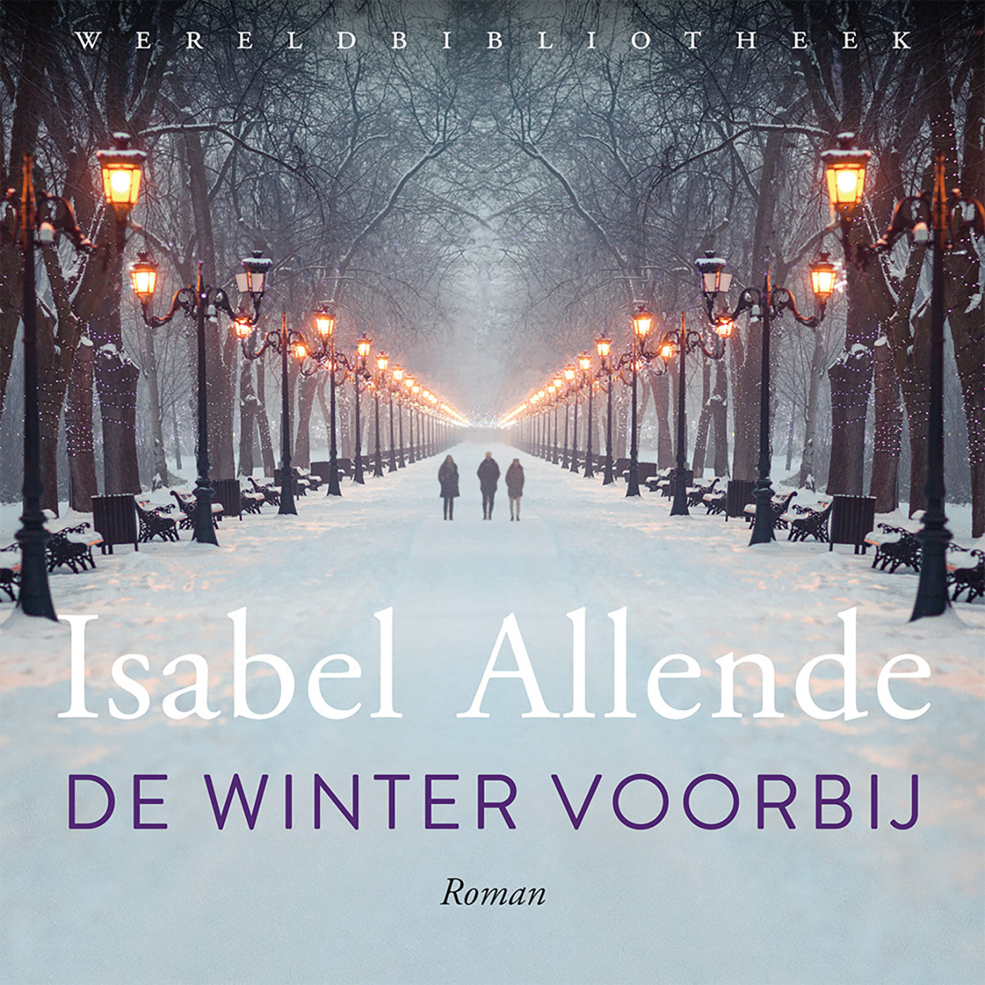 Omslag van De winter voorbij