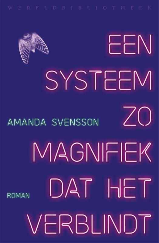 Omslag van Een systeem zo magnifiek dat het verblindt