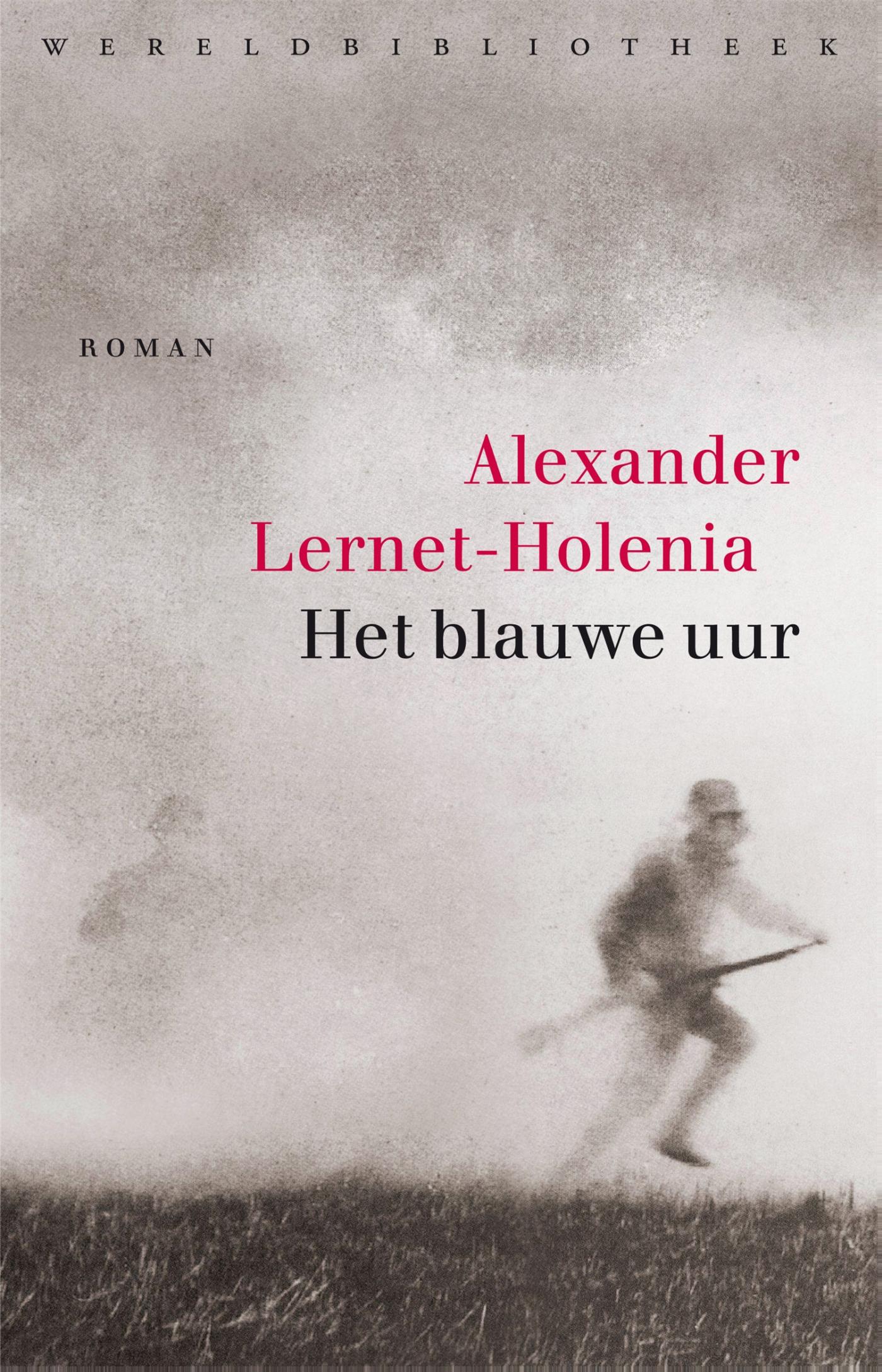 Omslag van Het blauwe uur