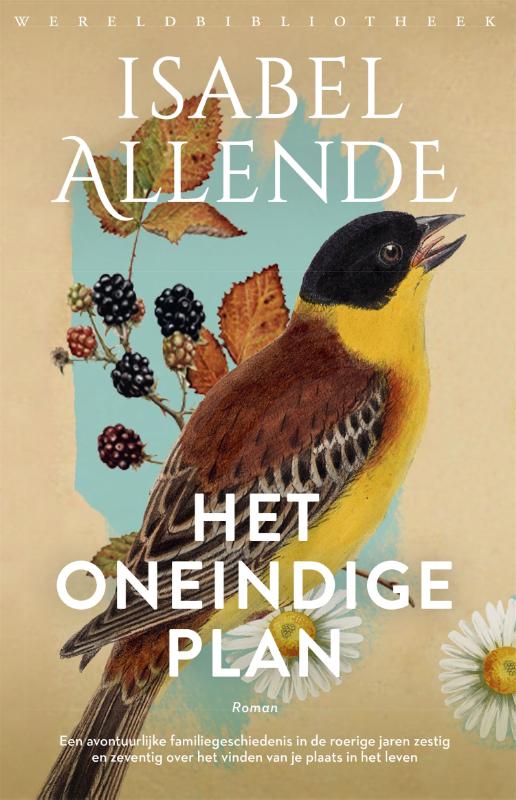 Omslag van Het oneindige plan