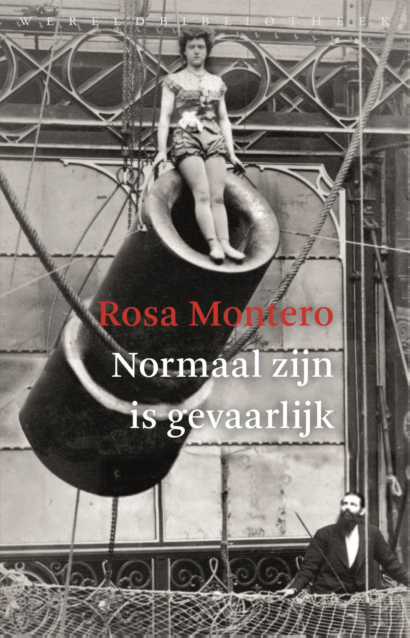 Omslag van Normaal zijn is gevaarlijk
