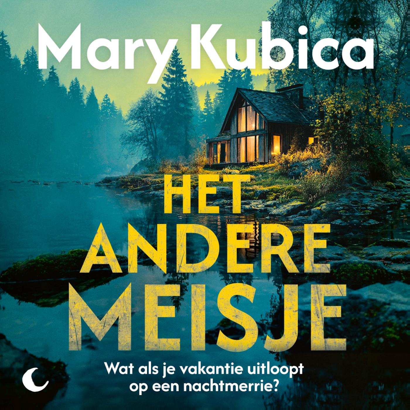 Omslag van Het andere meisje