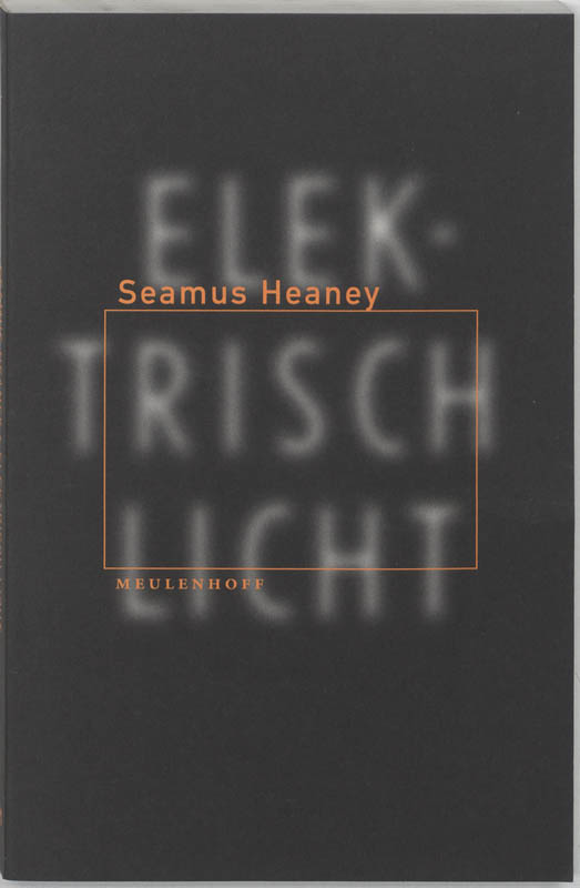 Omslag van Elektrisch licht