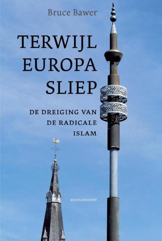 Omslag van Terwijl Europa sliep