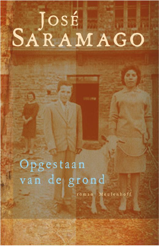 Omslag van Opgestaan van de grond