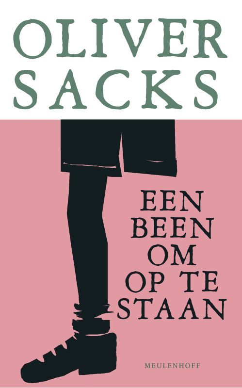 Omslag van Een been om op te staan