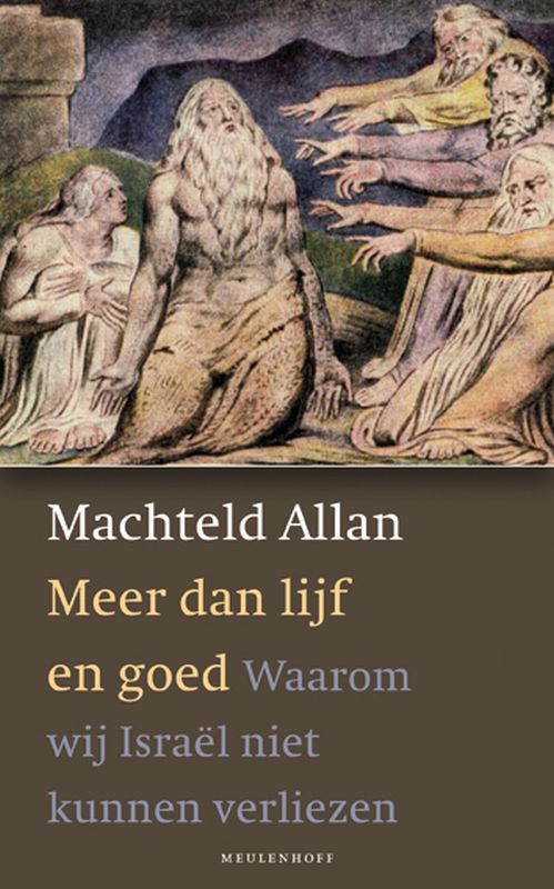 Omslag van Meer dan lijf en goed
