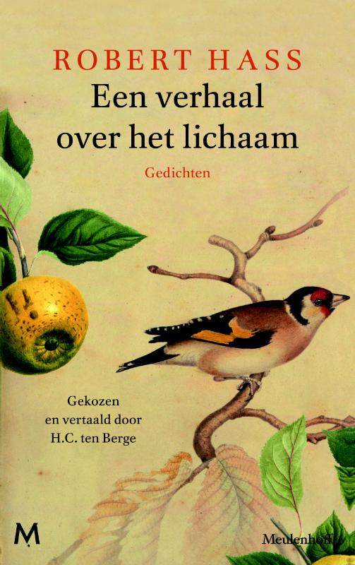 Omslag van Een verhaal over het lichaam