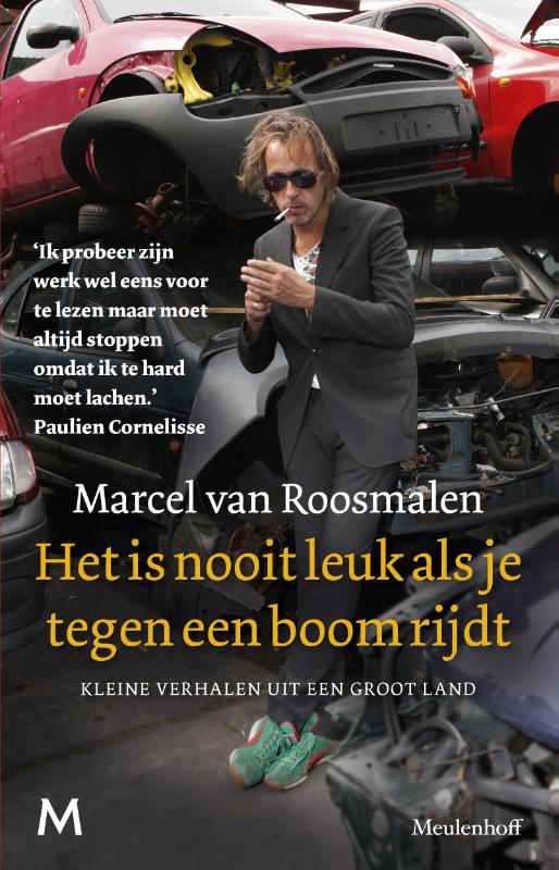 Omslag van Het is nooit leuk als je tegen een boom rijdt