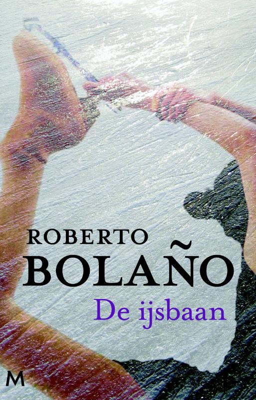 Omslag van De ijsbaan