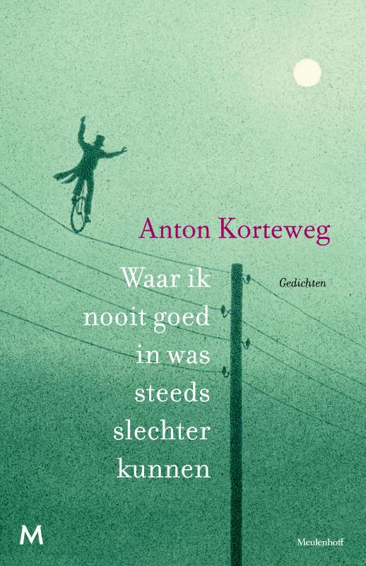 Omslag van Waar ik nooit goed in was steeds slechter kunnen