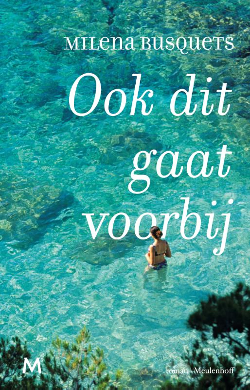 Omslag van Ook dit gaat voorbij