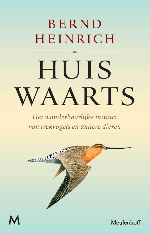 Omslag van Huiswaarts