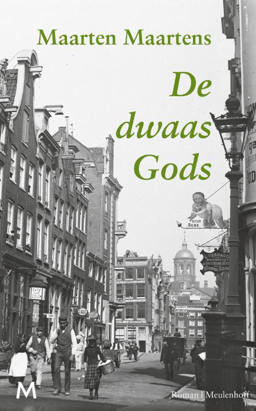 Omslag van De dwaas Gods
