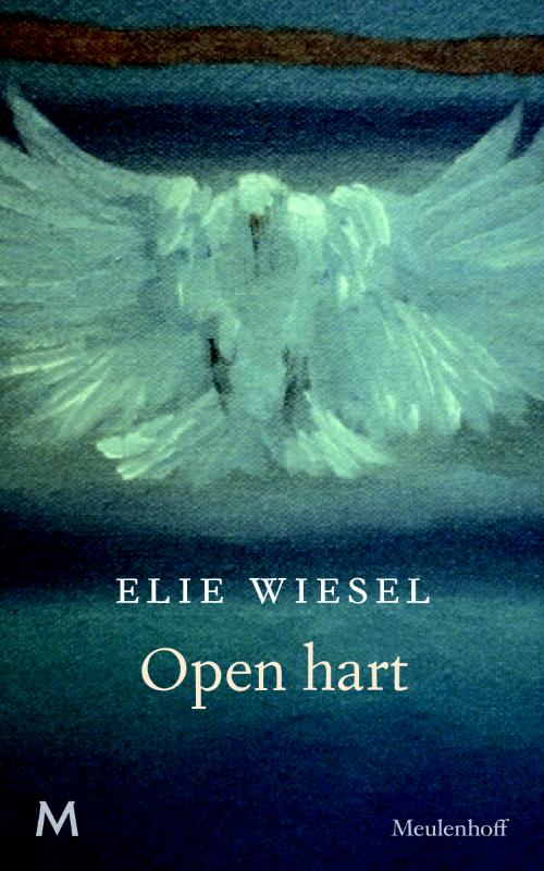 Omslag van Open hart