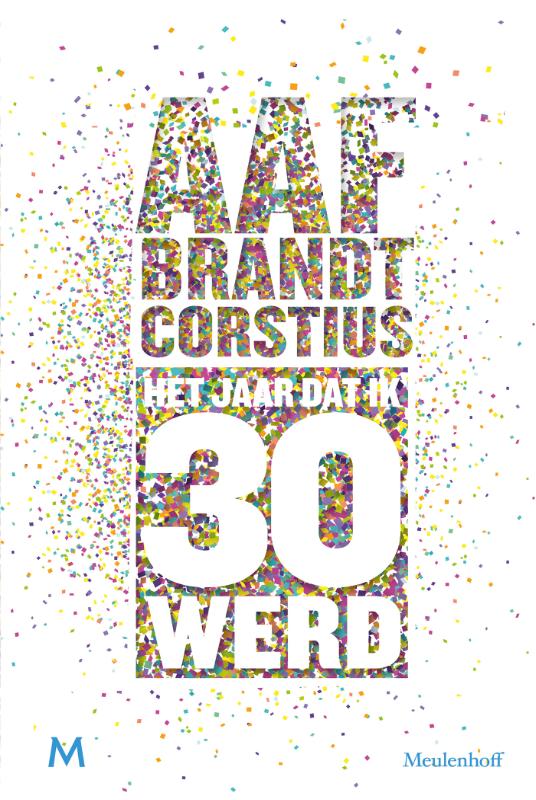 Omslag van Het jaar dat ik 30 werd