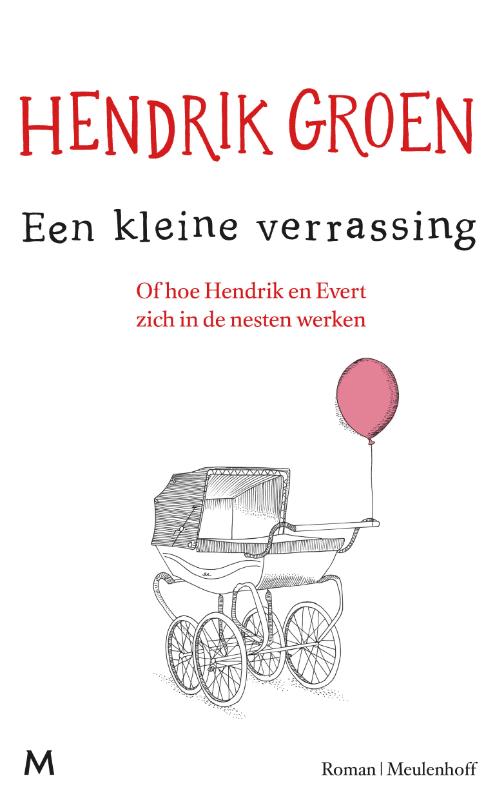 Omslag van Een kleine verrassing