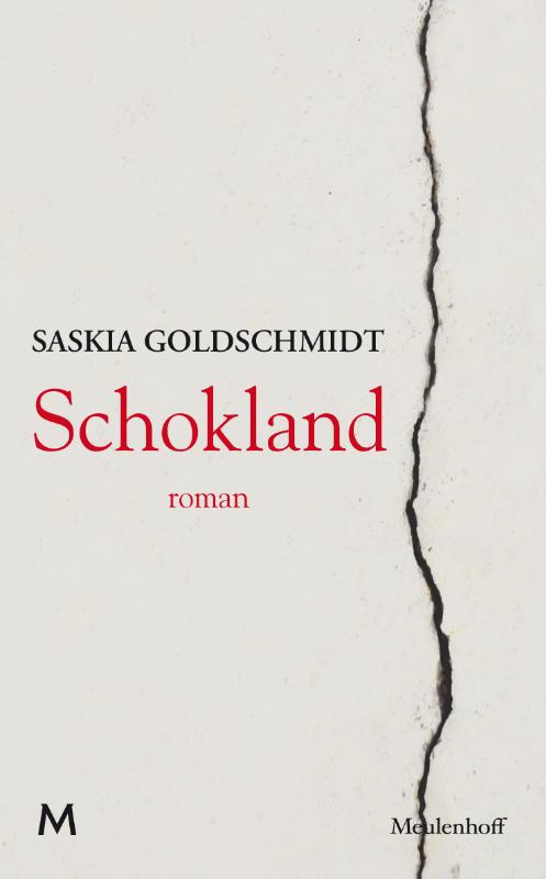 Omslag van Schokland