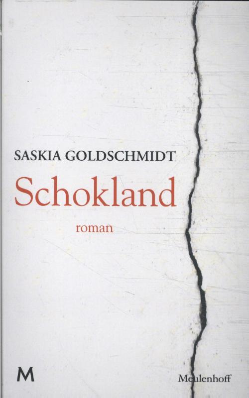 Omslag van Schokland