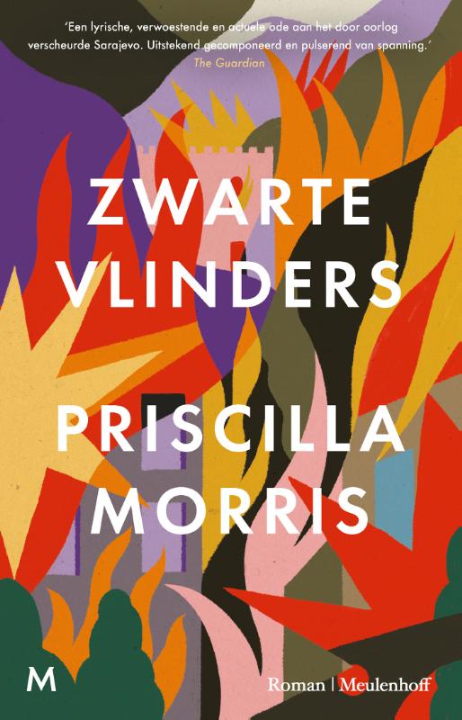 Omslag van Zwarte vlinders