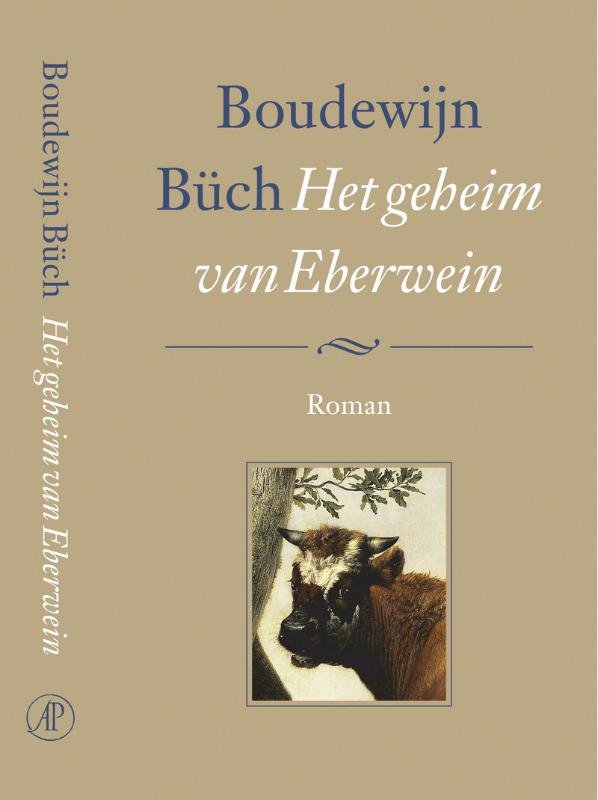 Omslag van Het geheim van Eberwein