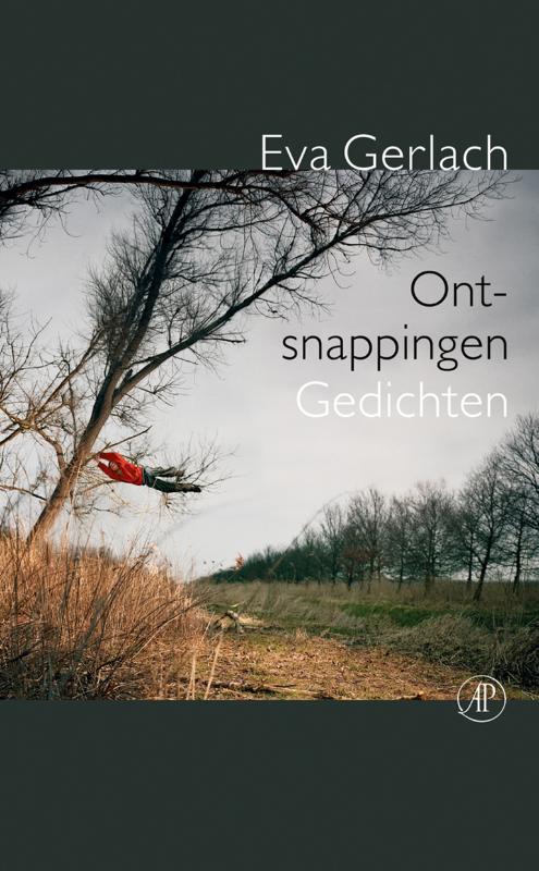 Omslag van Ontsnappingen