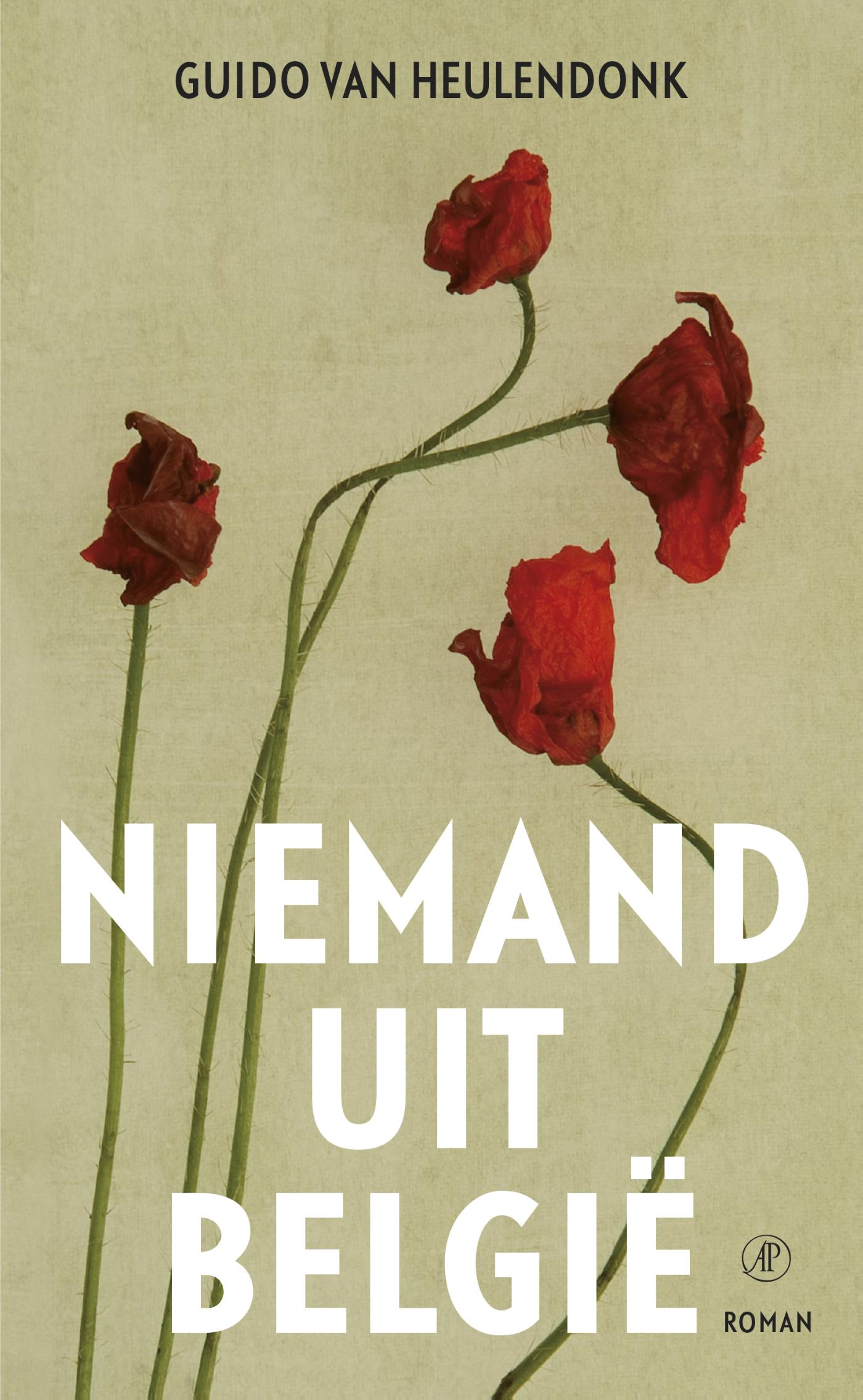 Omslag van Niemand uit België