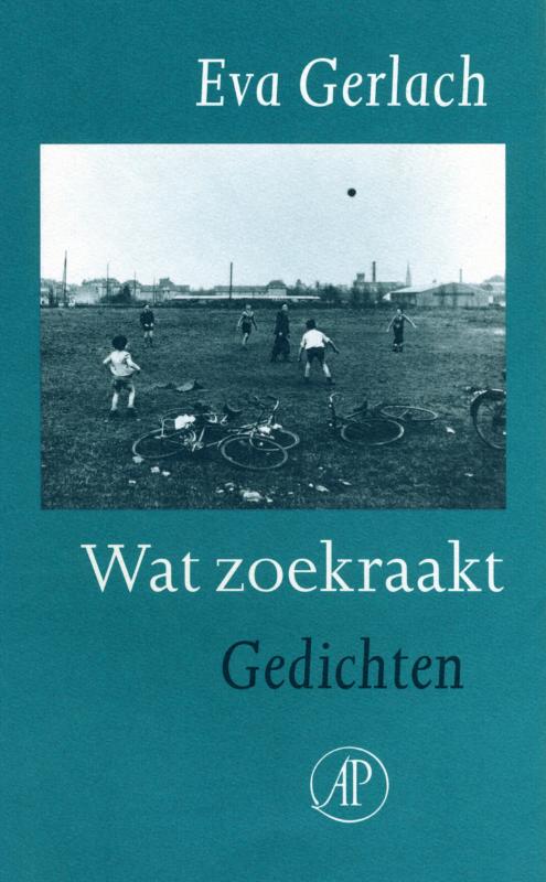 Omslag van Wat zoekraakt