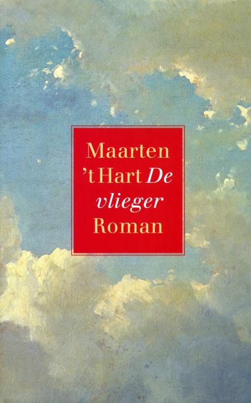 Omslag van De vlieger