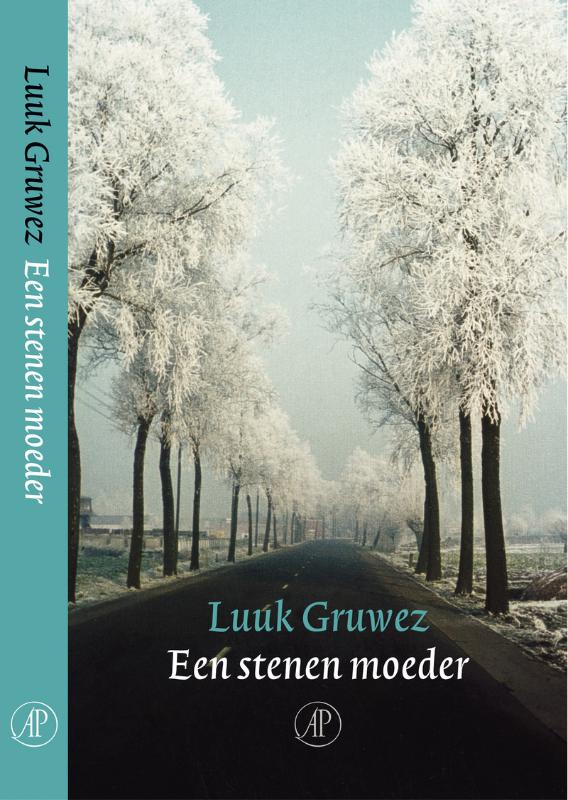 Omslag van Een stenen moeder