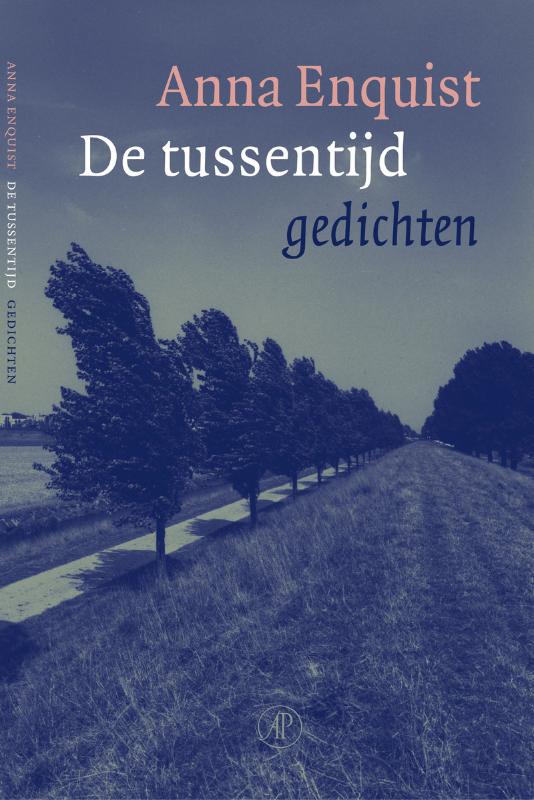 Omslag van De tussentijd