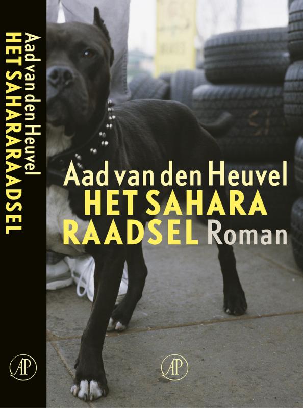 Omslag van Het Sahararaadsel