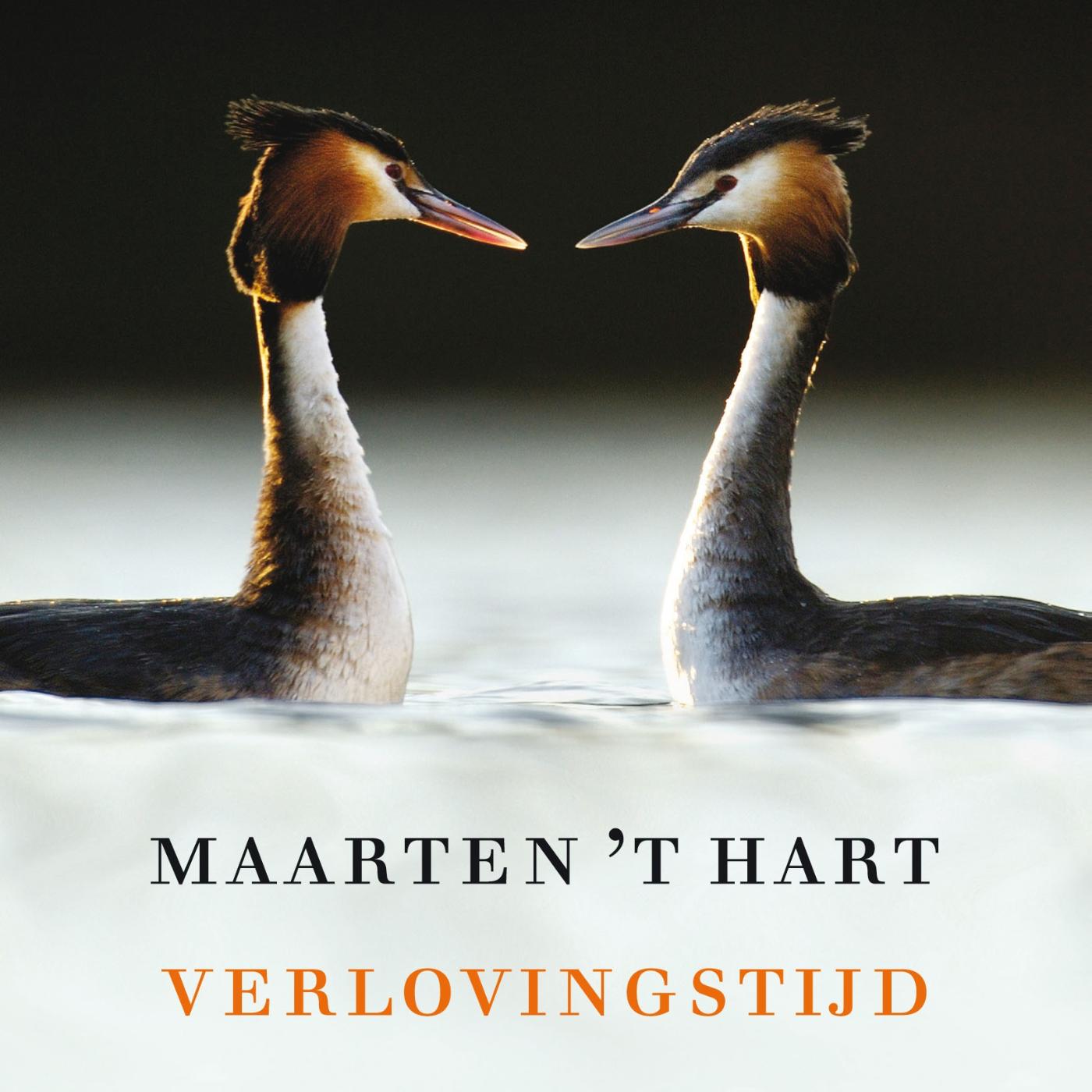 Omslag van Verlovingstijd