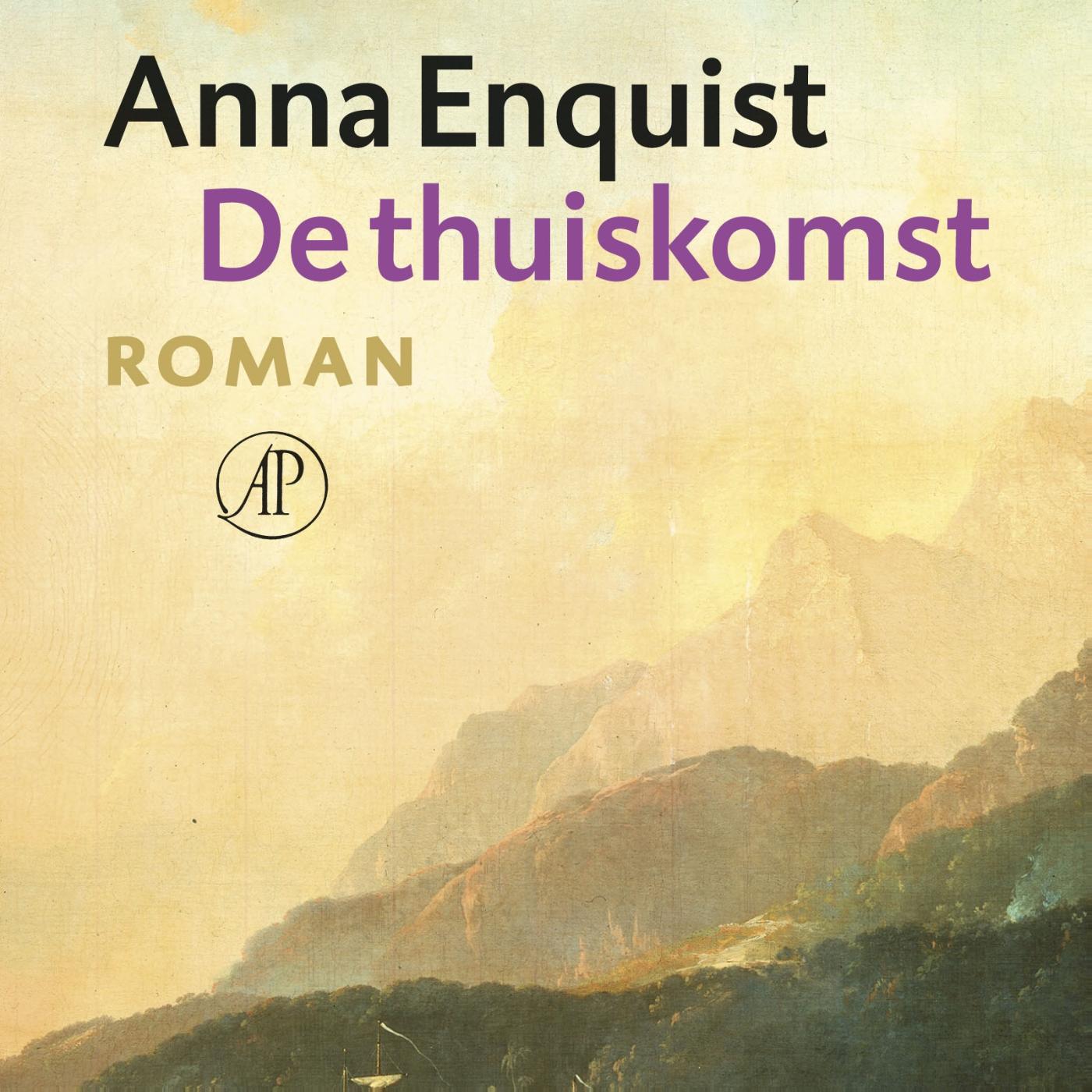 Omslag van De thuiskomst
