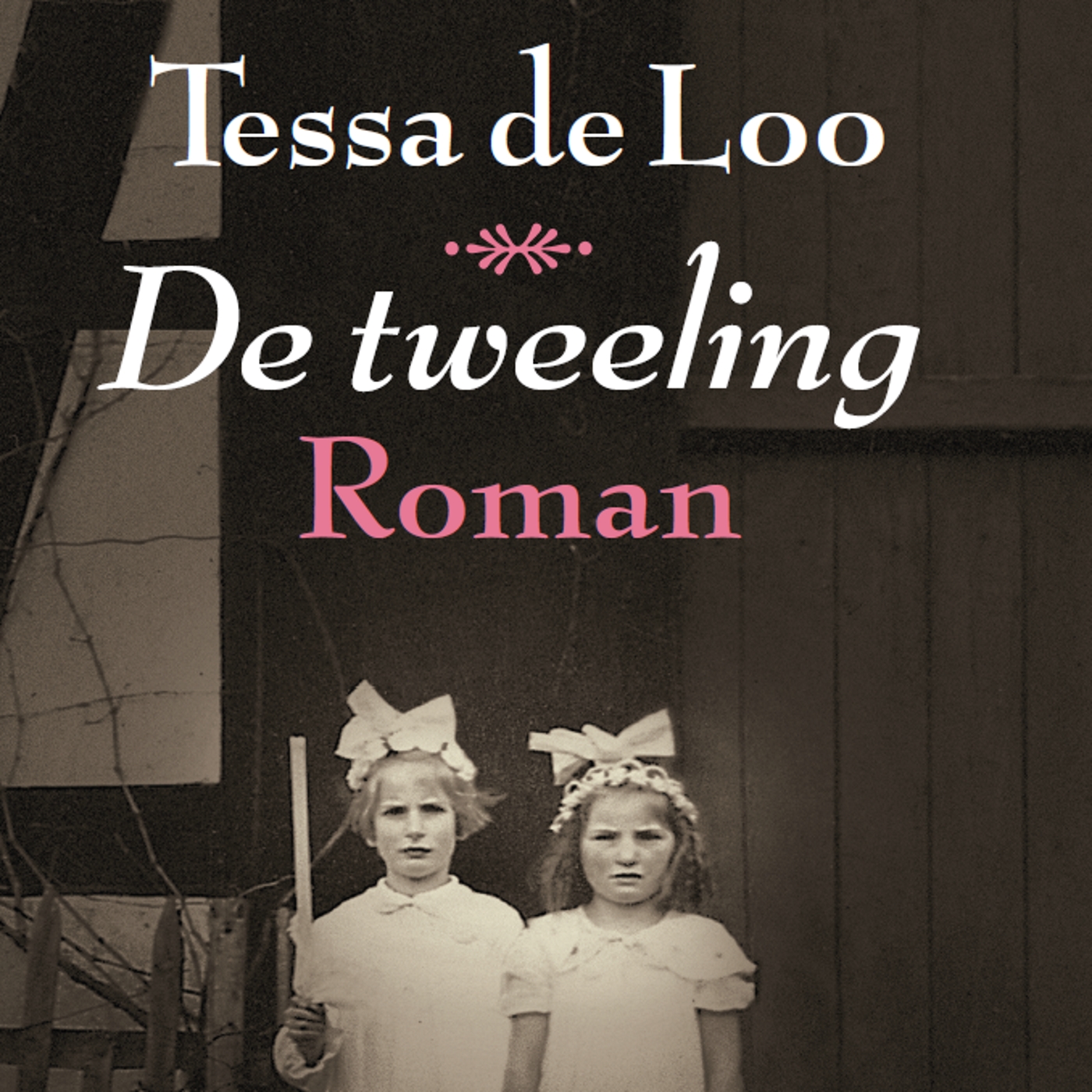 Omslag van De tweeling