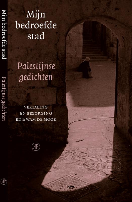 Omslag van Mijn bedroefde stad