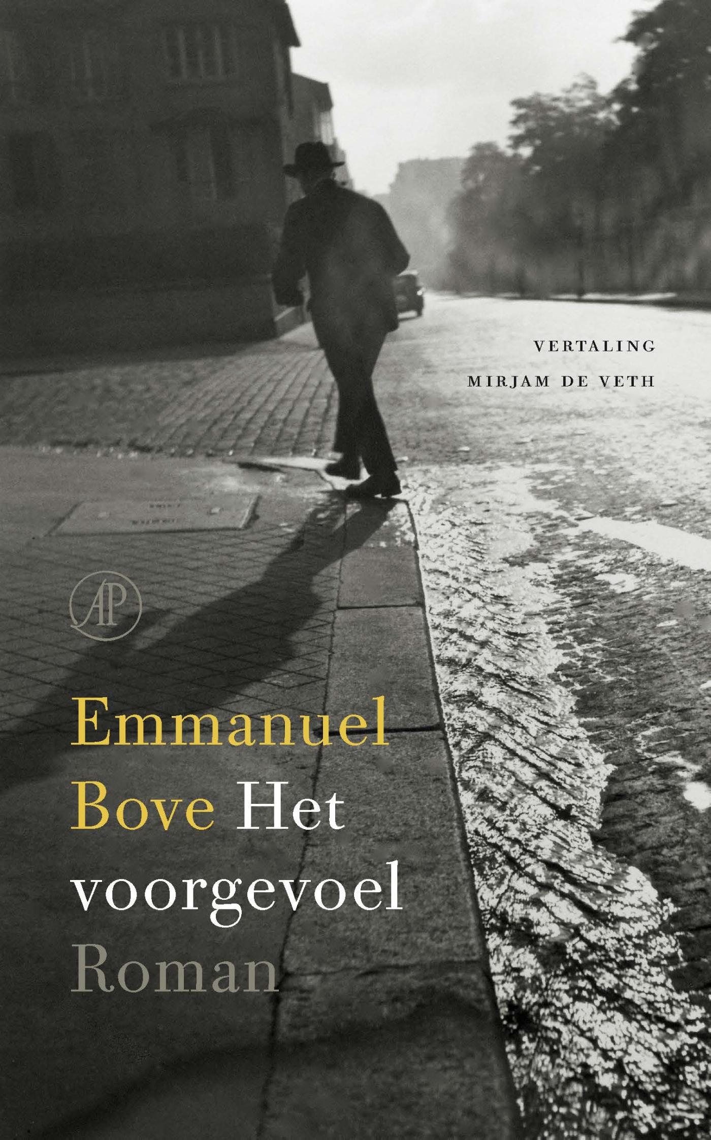 Omslag van Het voorgevoel