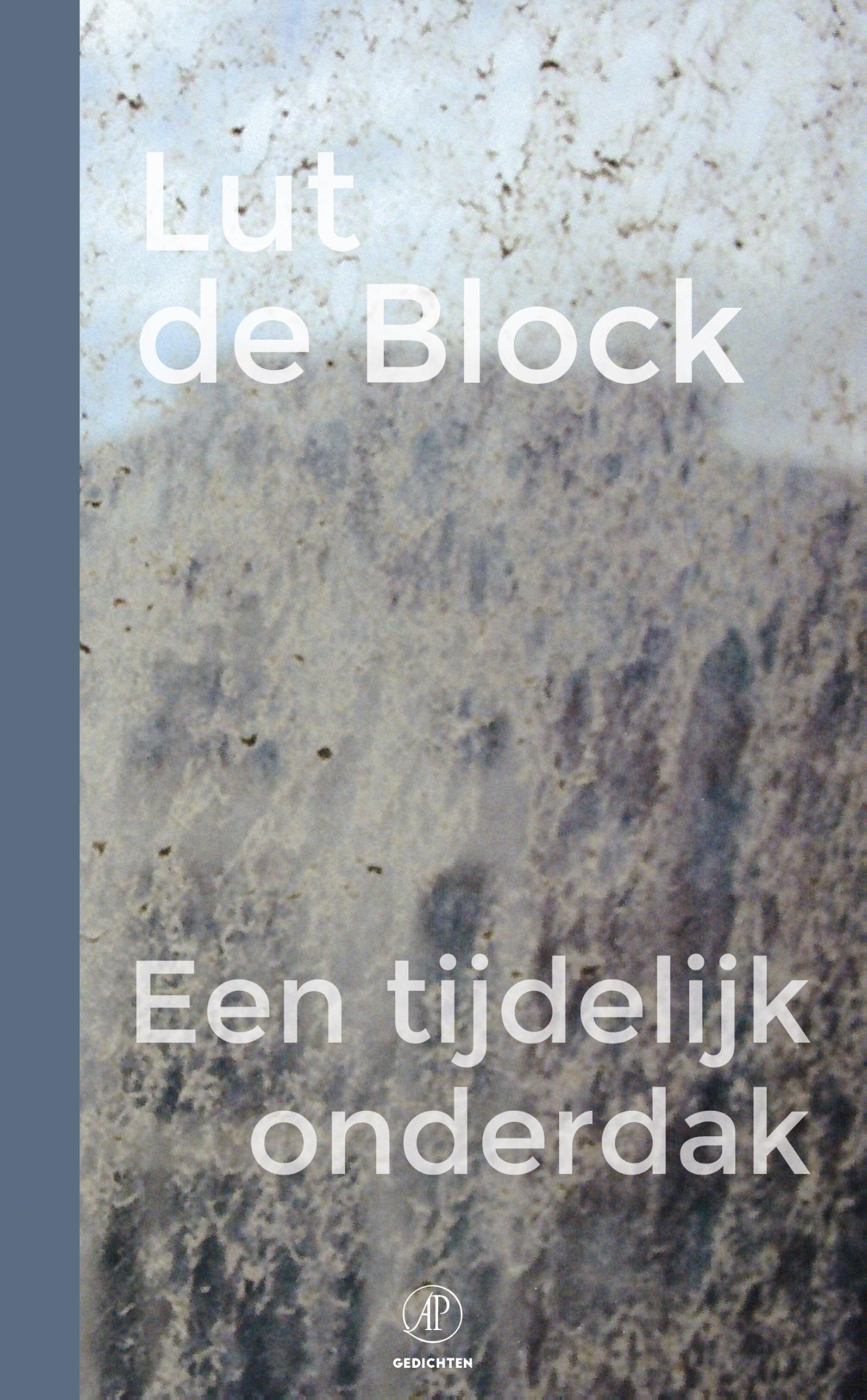 Omslag van Een tijdelijk onderdak