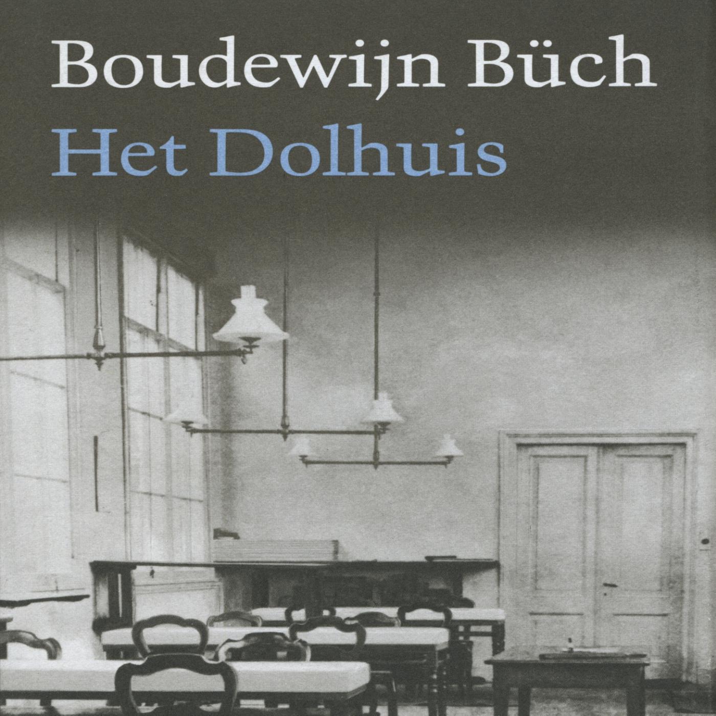 Omslag van Het dolhuis