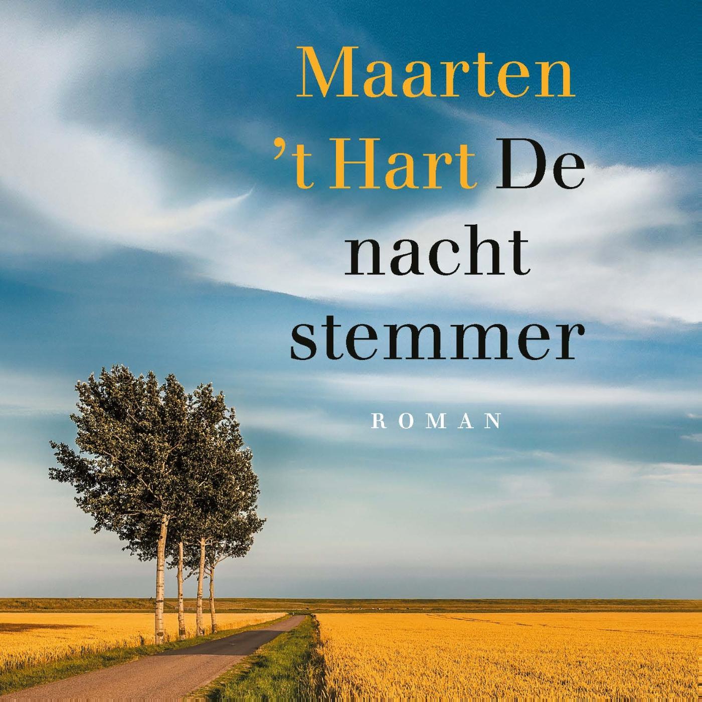 Omslag van De nachtstemmer