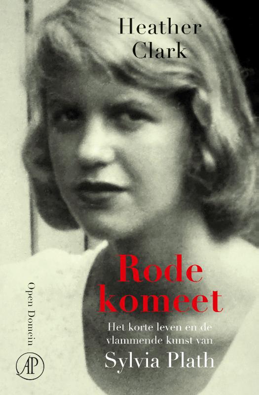 Omslag van Rode komeet