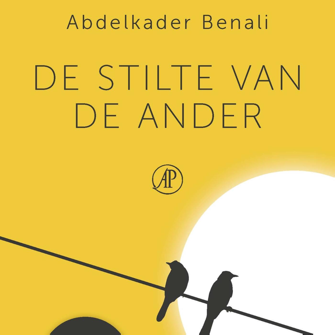 Omslag van De stilte van de ander