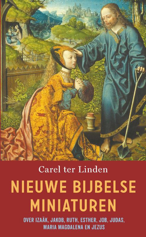 Omslag van Nieuwe Bijbelse miniaturen